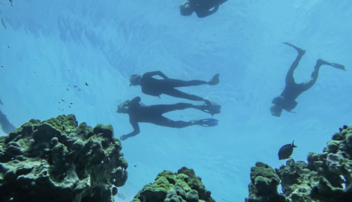 Best Big Island Snorkel