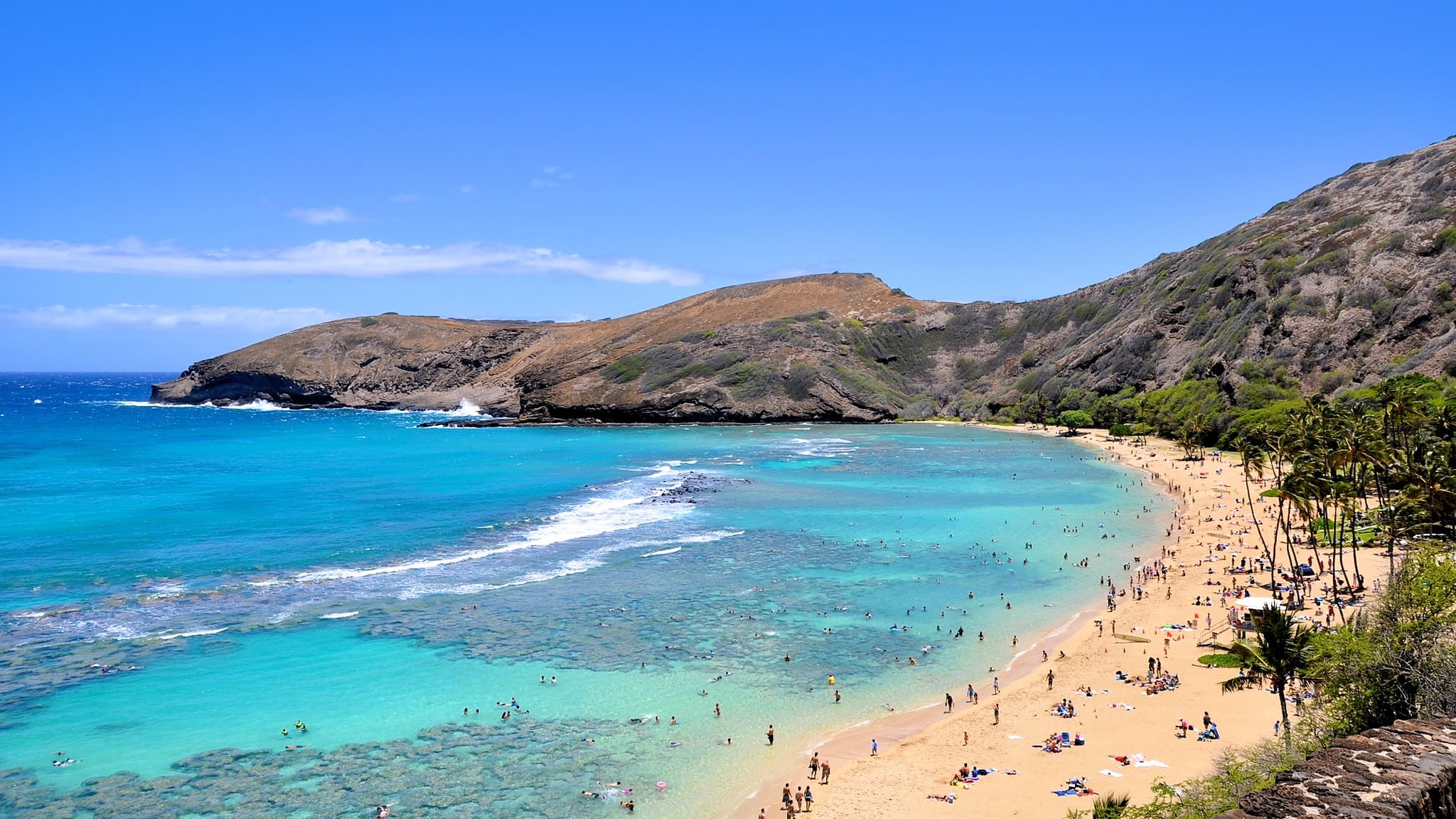 Oahu Island Tour