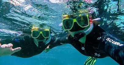 Private Turtle Snorkel & Dolphin Viewing