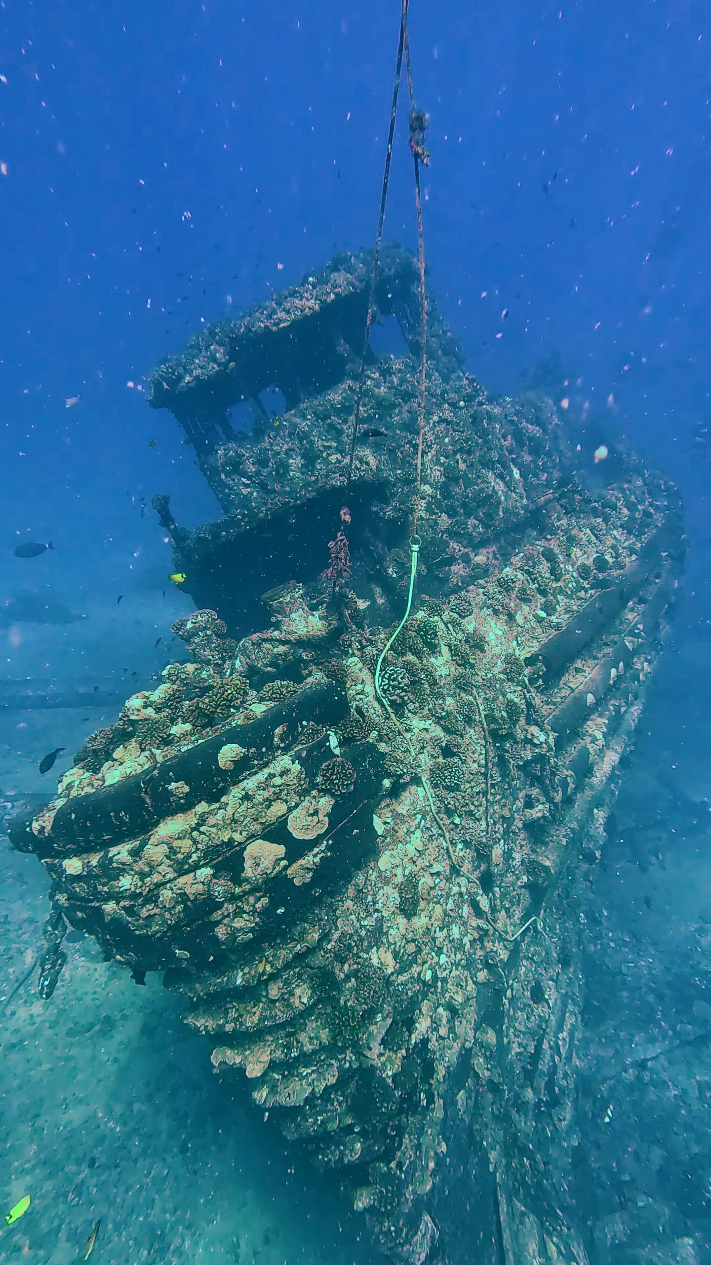 Scuba Dive - Navy Tug