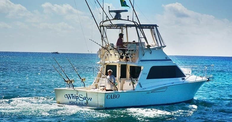 Shared Charter - Full Day