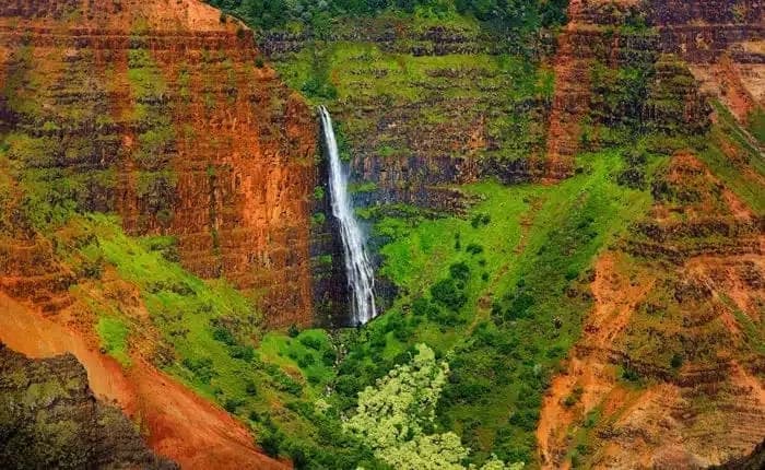 Waimea Canyon, Wailua River & Fern Grotto Tour (K1)