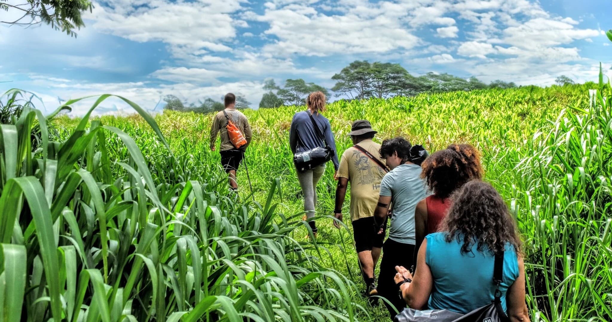 Waterfall Hiking Tour