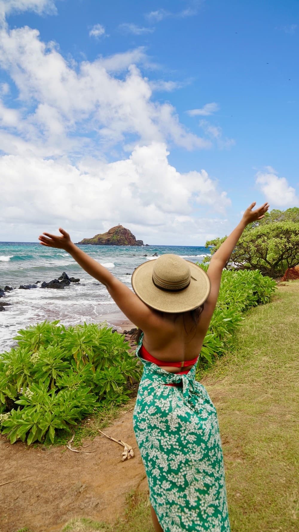 1/2 Day VIP Private Road to Hana Tour with Pick Up