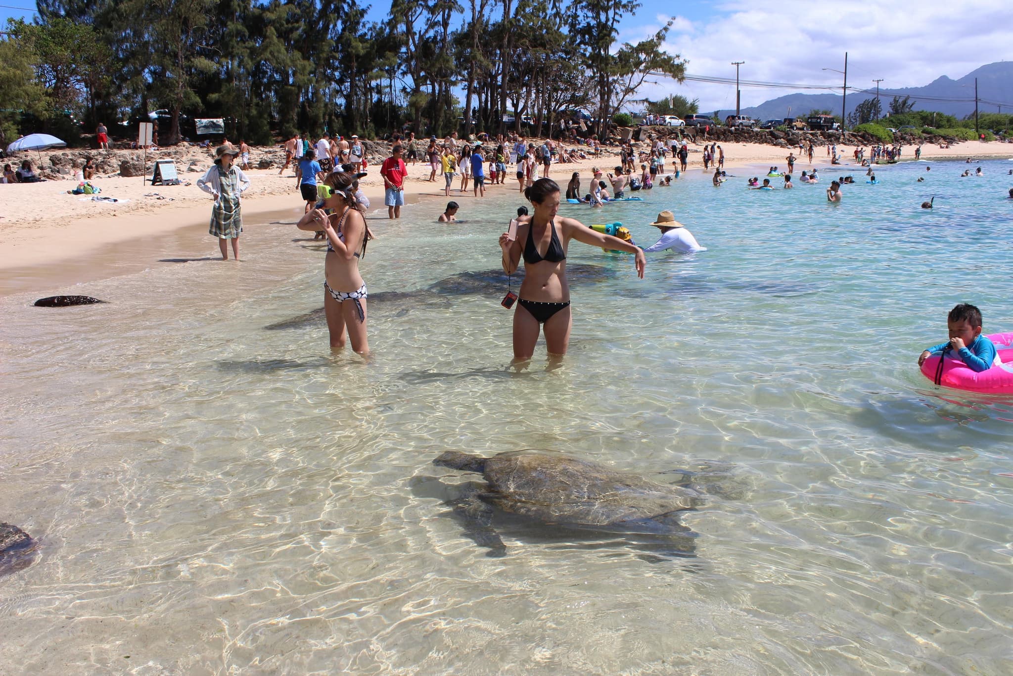 SPANISH Northshore Circle Island Adventure