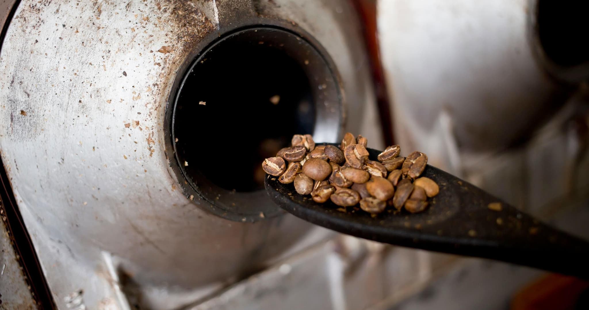 焙煎体験（日本語のツアー）Roasting