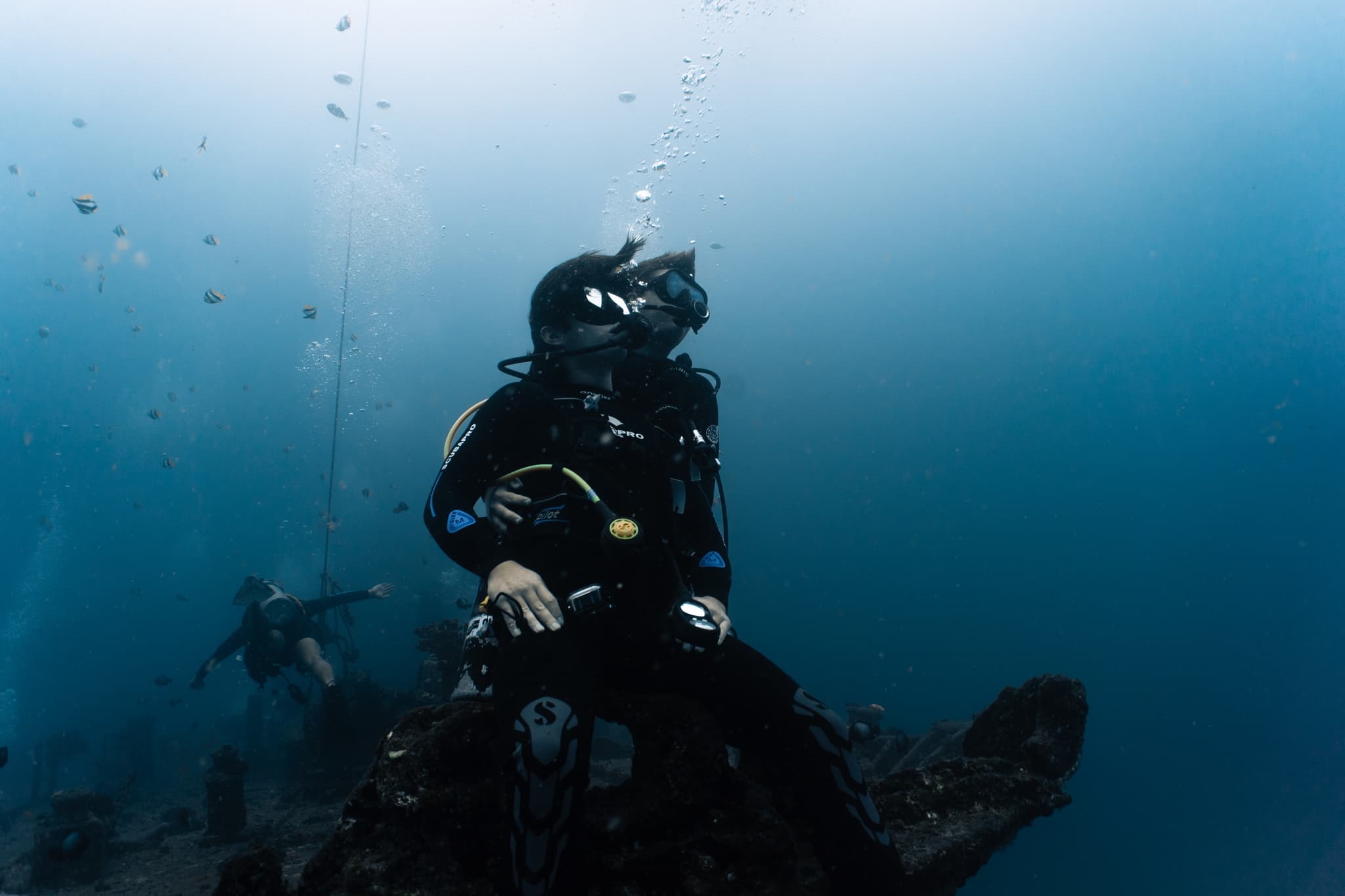 2 Tank Private Shipwreck/Reef Scuba Dive Boat Tours!