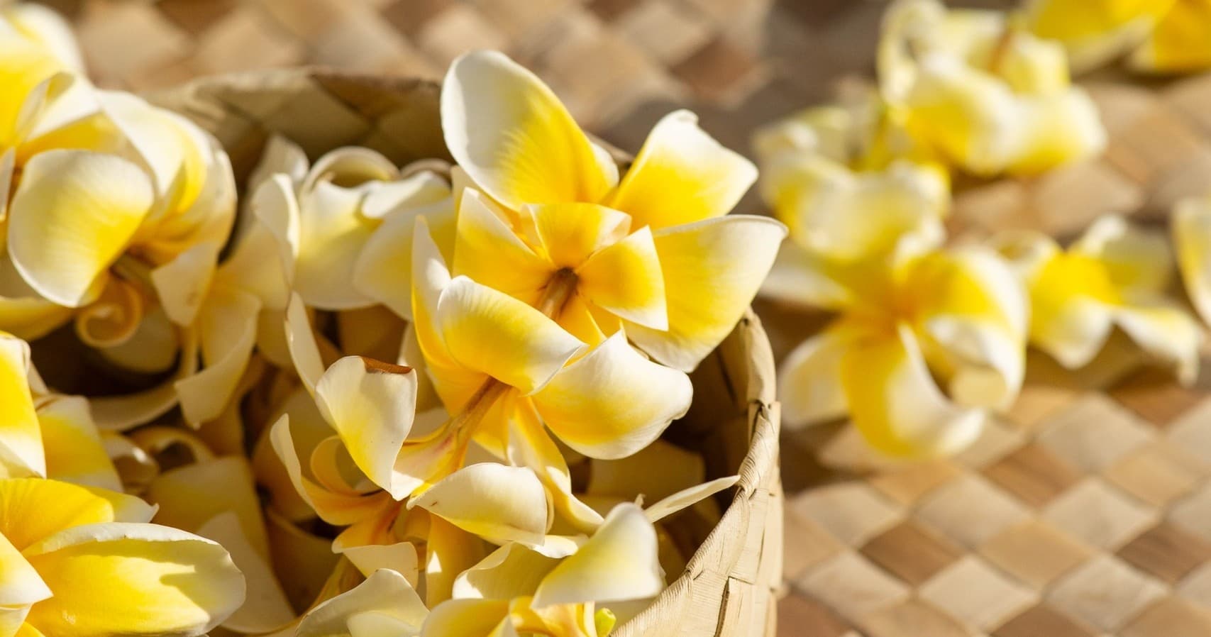 Standard Dinner & Show Package