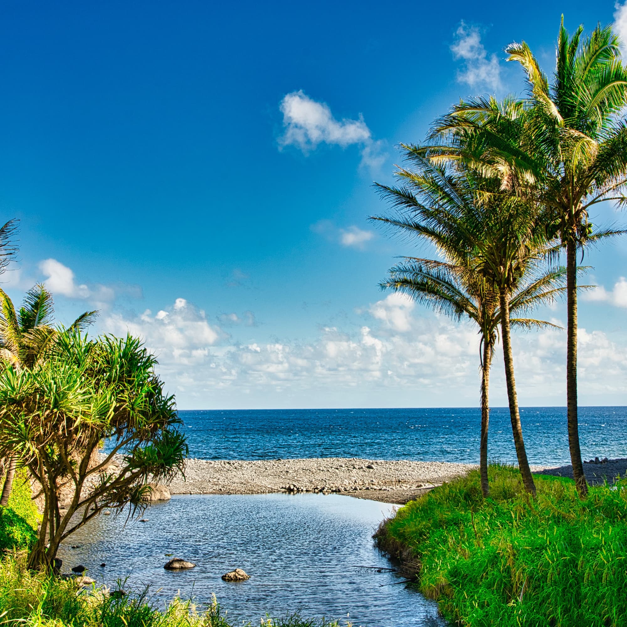 Private Road to Hana VIP Tour Large Group - Full Day