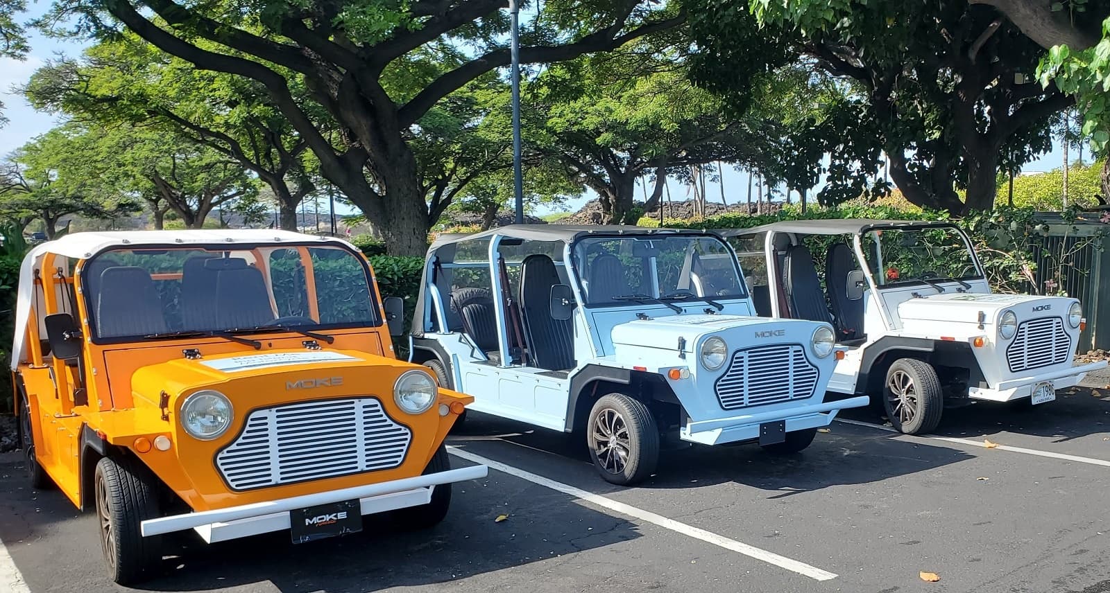 Moke Electric Vehicle: Allowed only in WAIKOLOA RESORT. Top Speed 28mph