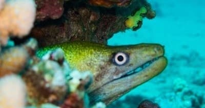 PADI Advanced Open Water Certification (part 1) - Shore