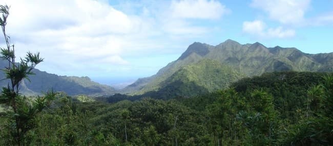 15A - 1/2 Day ECO Tour: Oahu Grand Circle Island, Dole Plantation, and Macadamia Farms