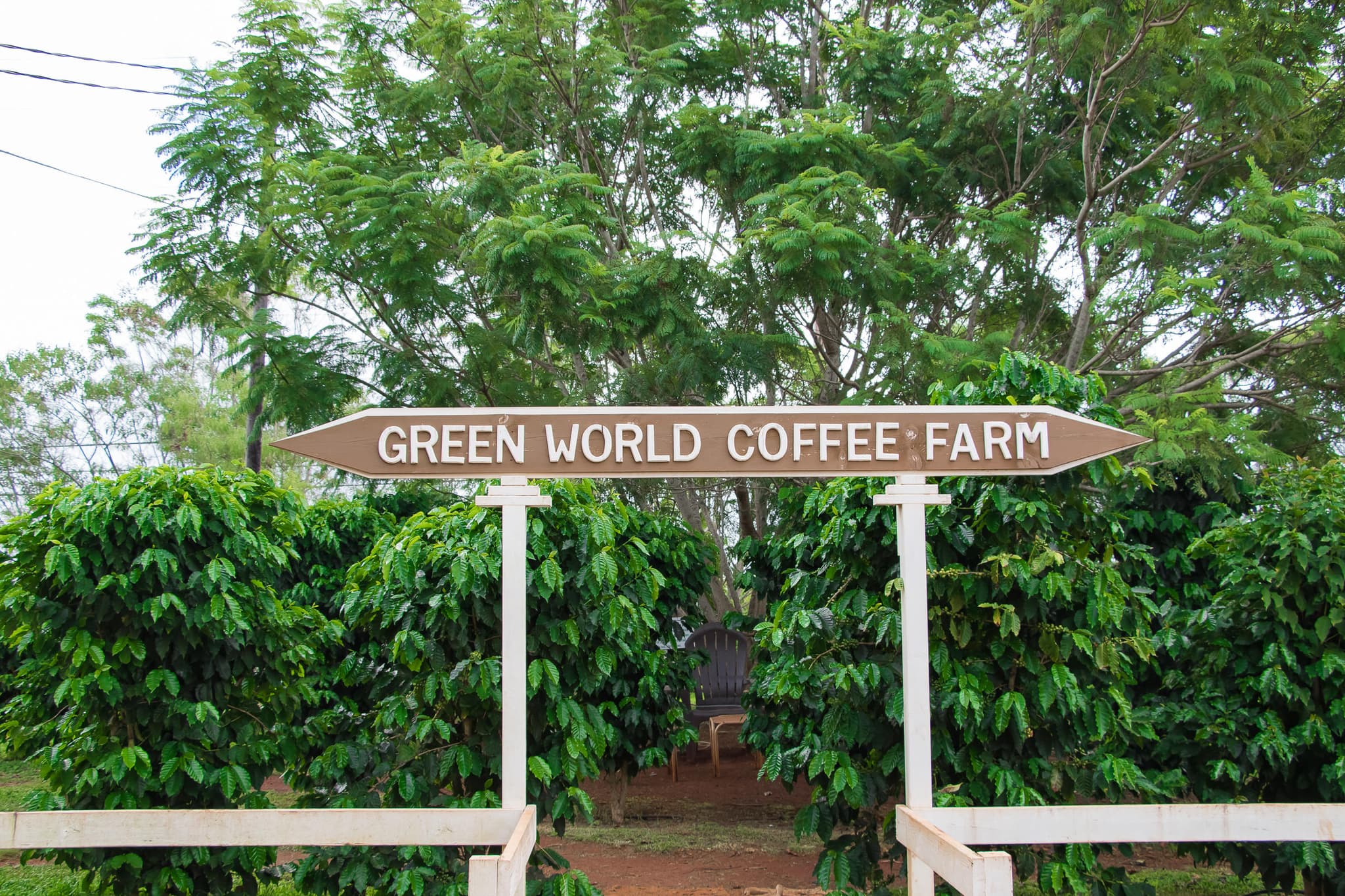 North Shore Adventure Tour