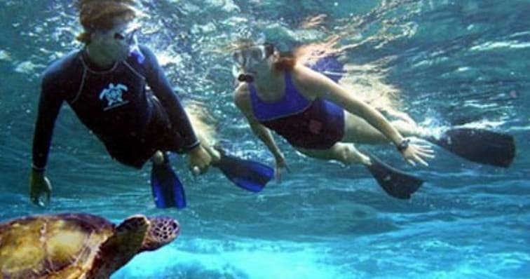 Kayak, Snorkel & Waterfall Combo Tour