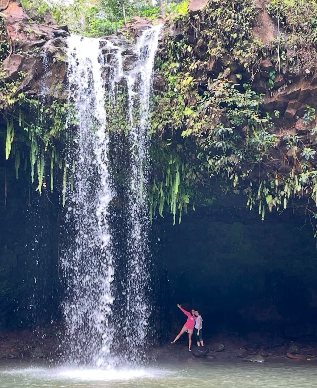 Maui’s Sea Turtles, Waterfalls and Road to Hana Adventure