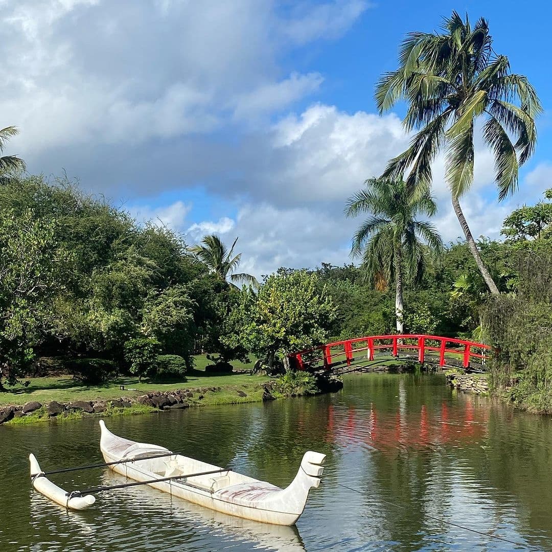 KAUAI - Hop-On Hop-Off Tour for Resort Guests