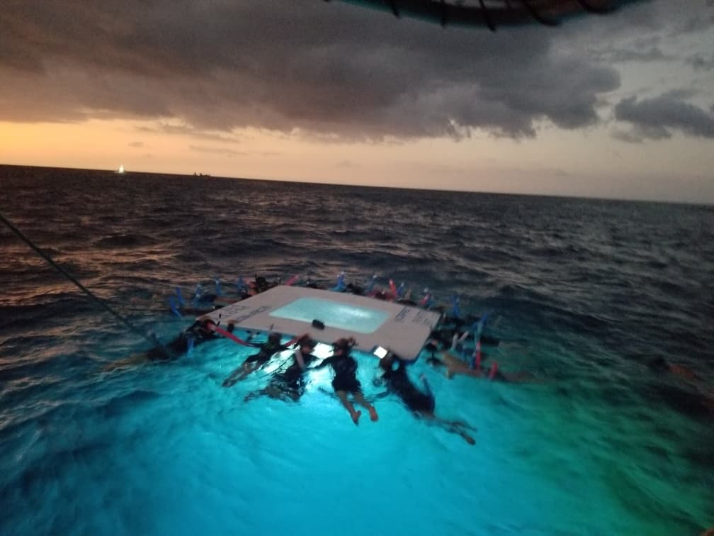 Manta Ray Night Snorkel