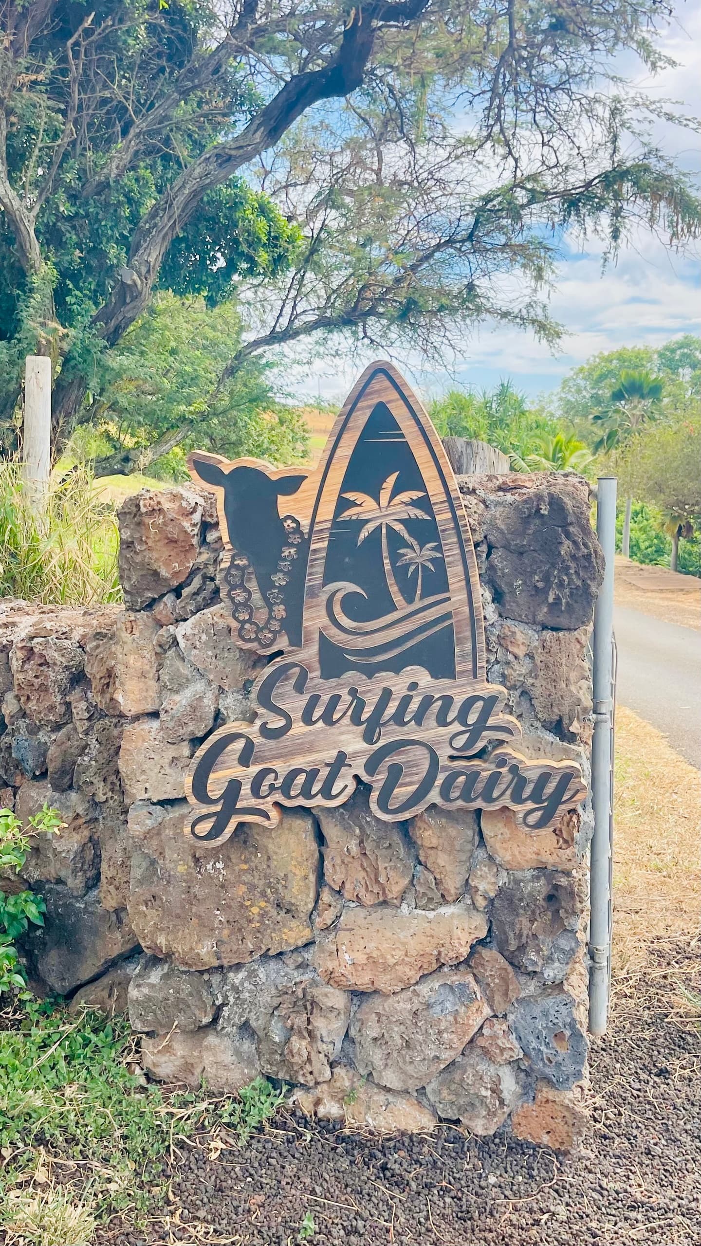 UPCOUNTRY FOOD CRUISE