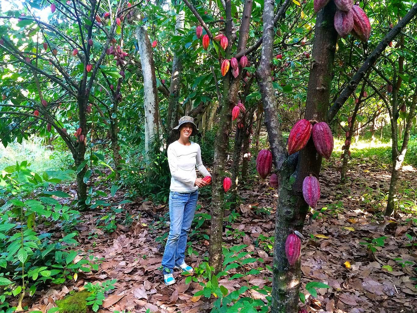 Chocolate Tour & Tasting