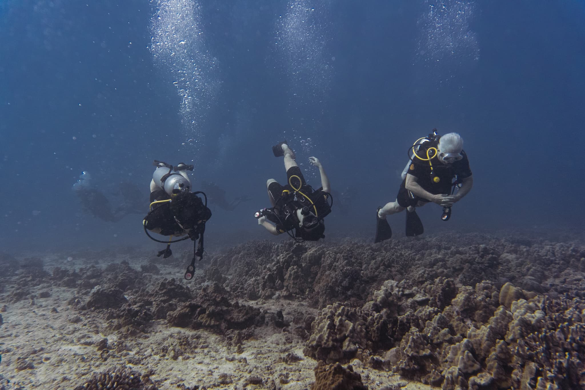 2 Tank Shallow Reef Private Boat Scuba Dive Experiences!