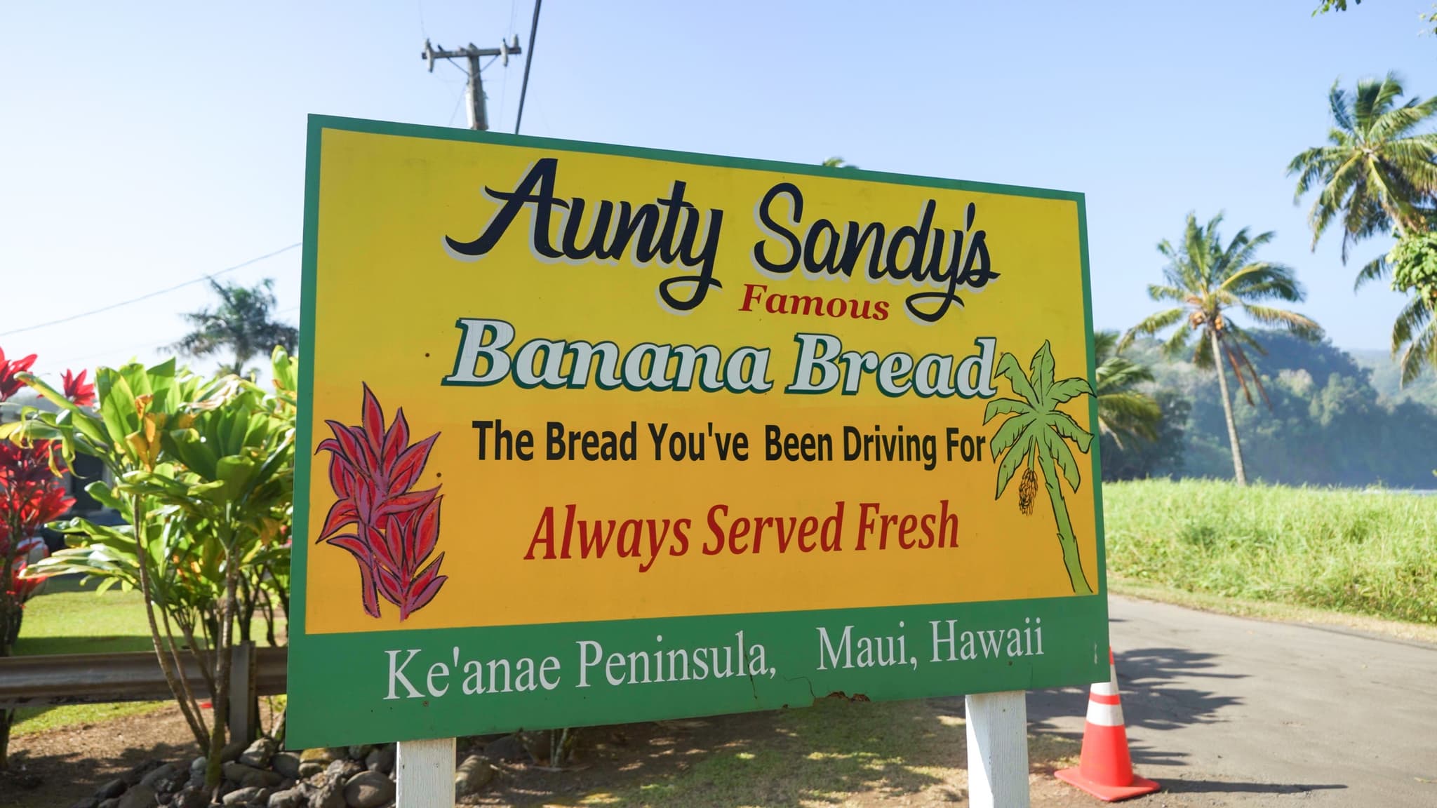 21A - Road to Hana Deluxe Rainforest and Waterfall Experience Departing from Maui