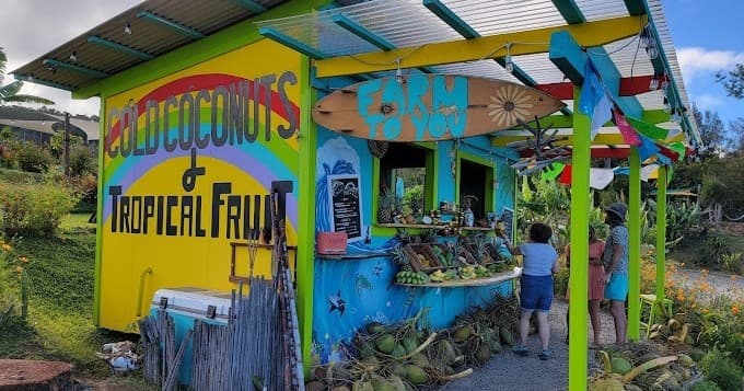 Flavors of Hawaii: A Bitesize History