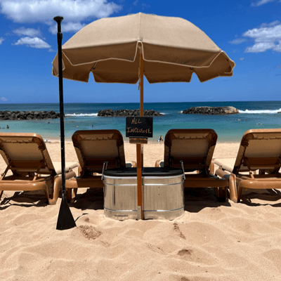 All Inclusive Package (Honu)