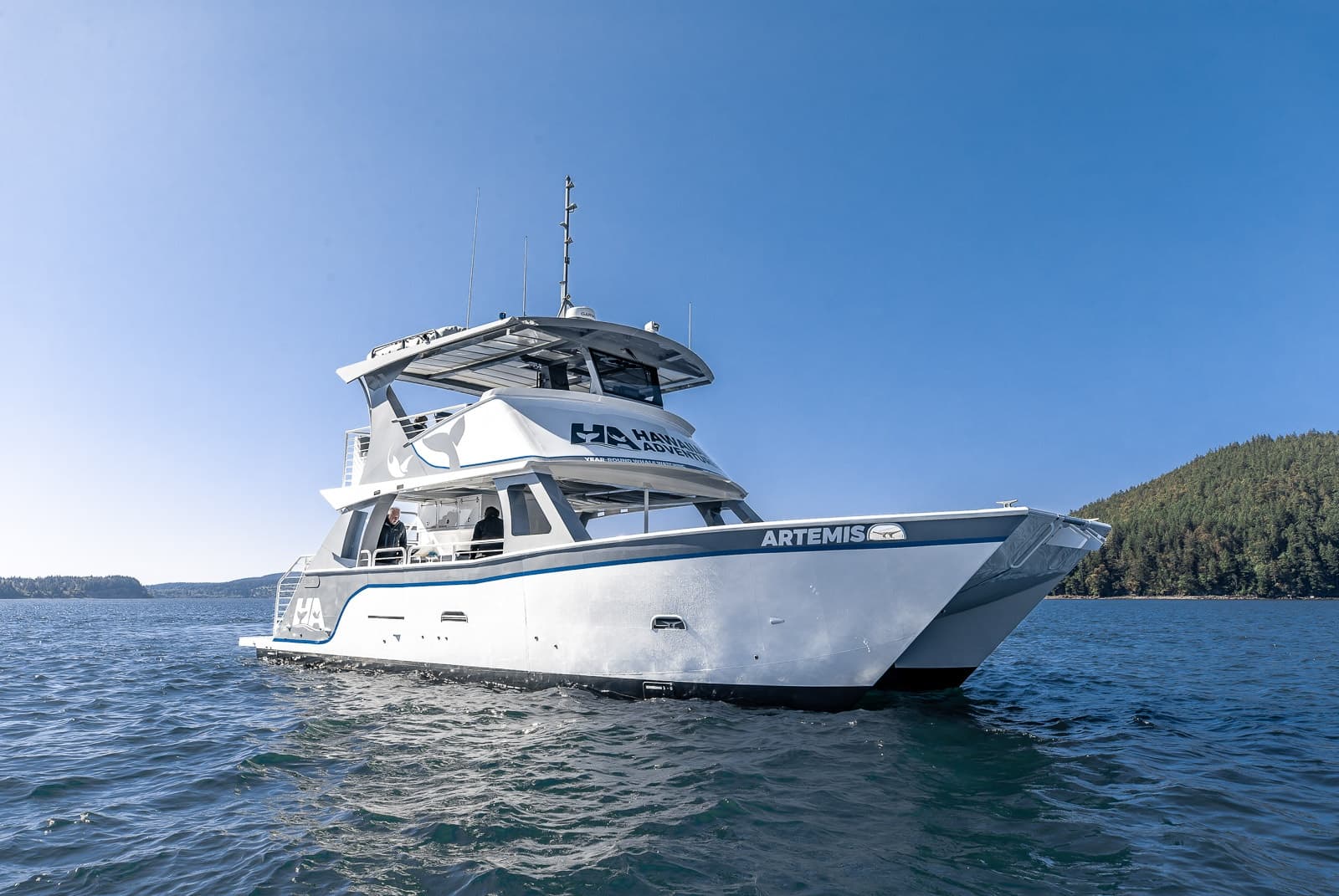 Whale Watching on the Kona Coast