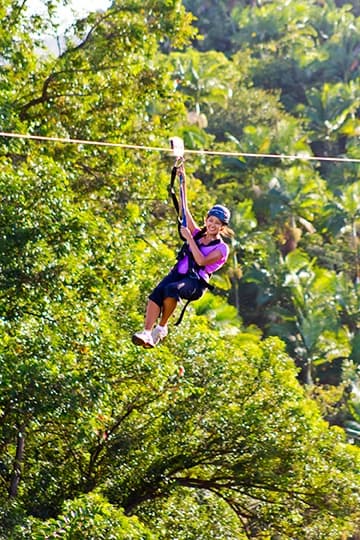 Zipline Adventure with Hilo Cruise Ship Pickup