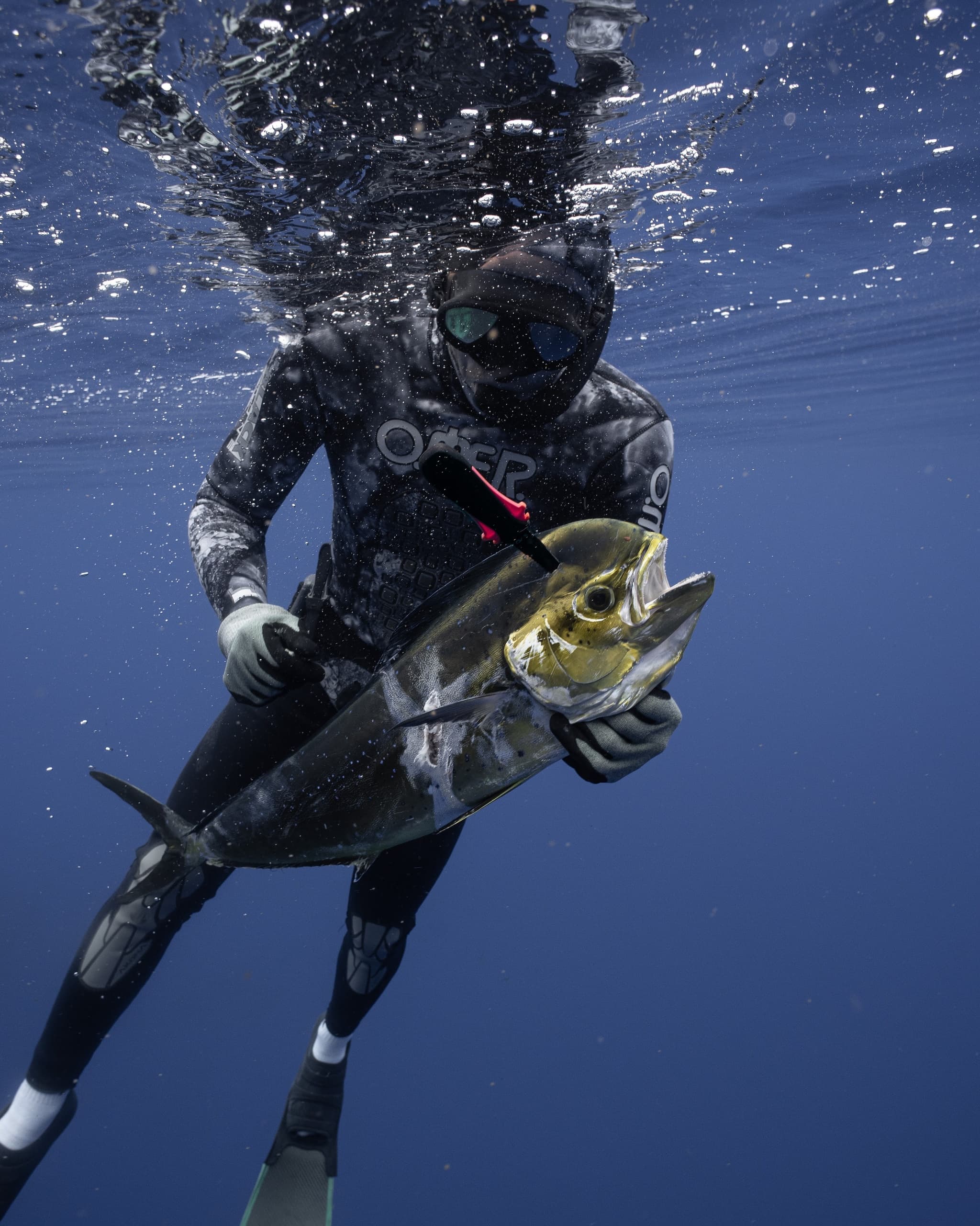 Spearfishing
