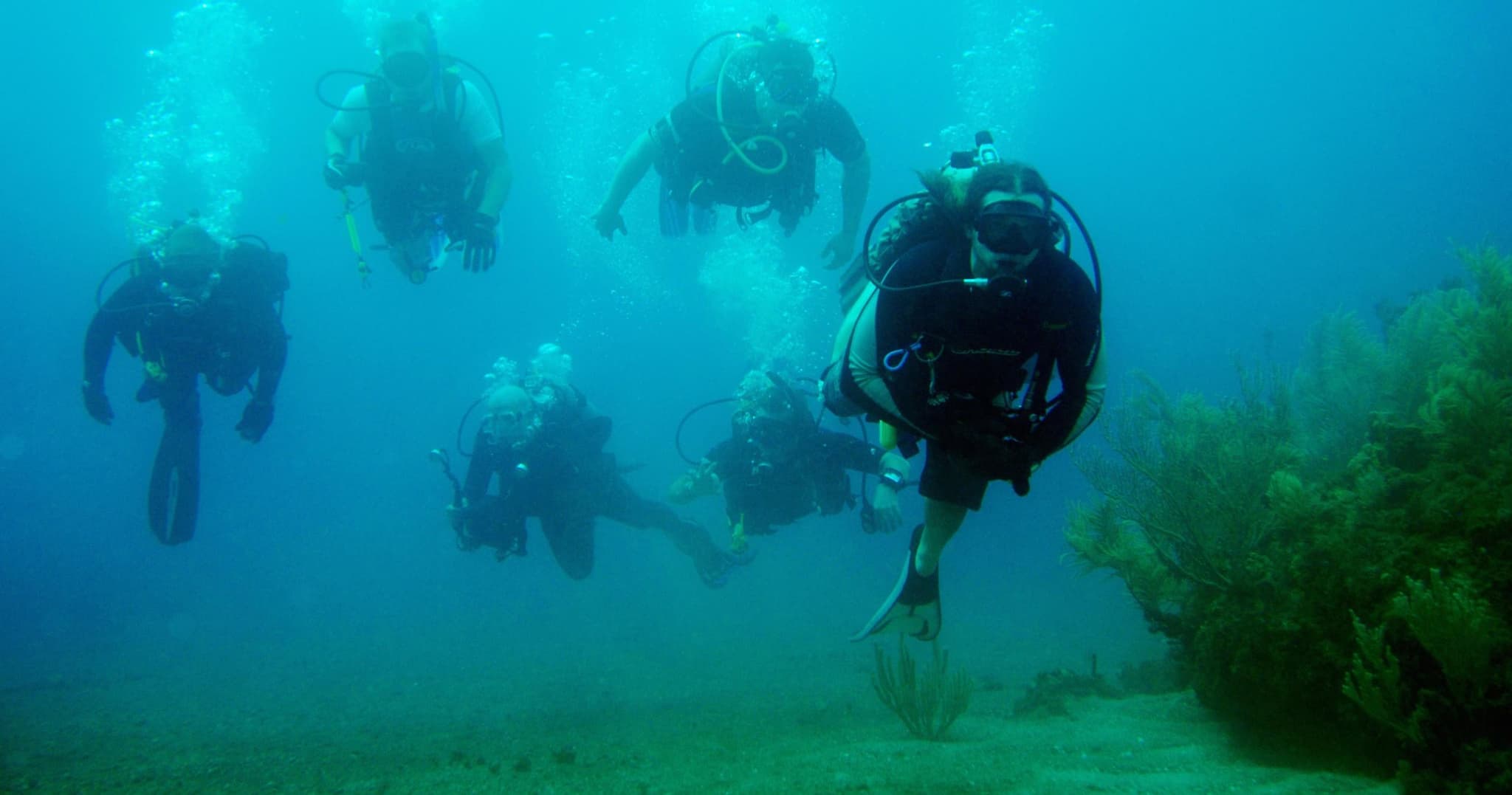 Open Water (Elearning) Certification Course