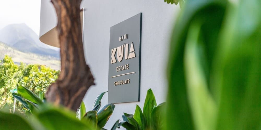 Chocolate Factory Experience