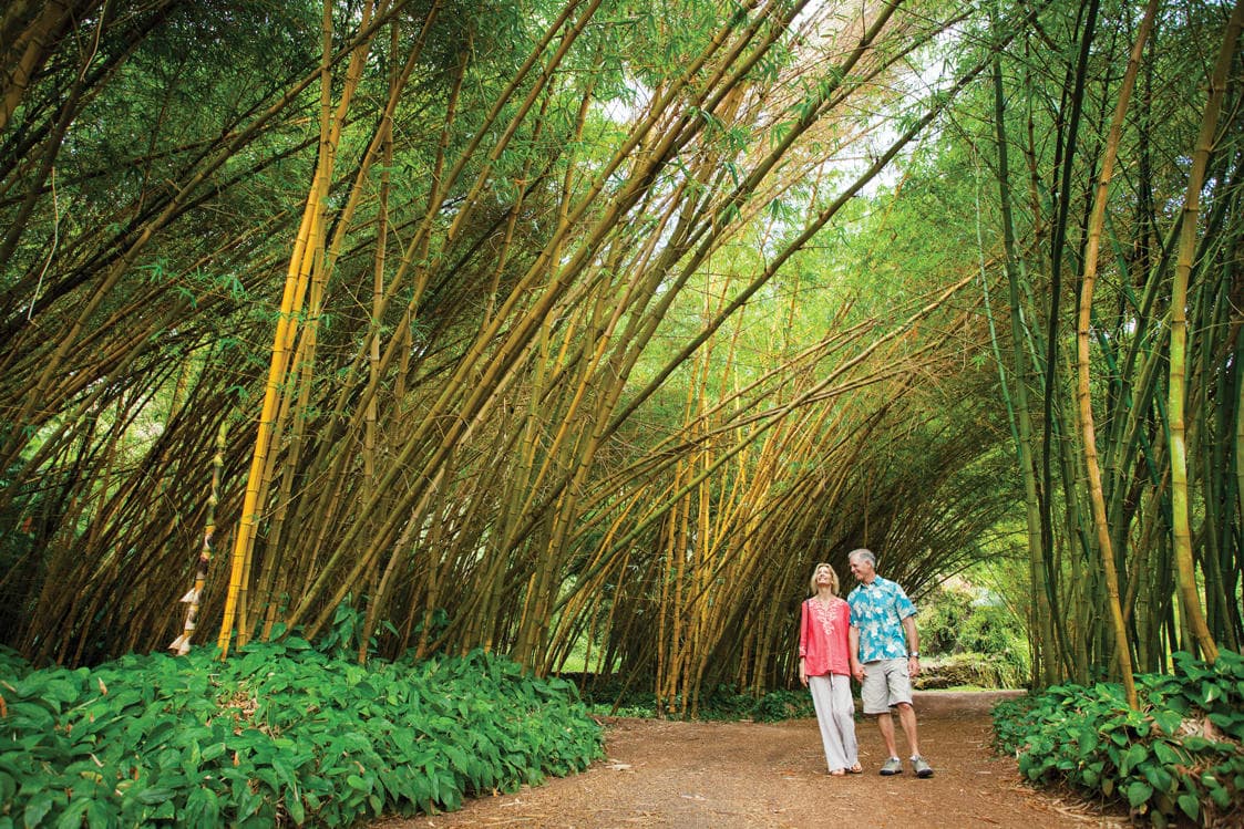 Allerton Garden Guided Tour