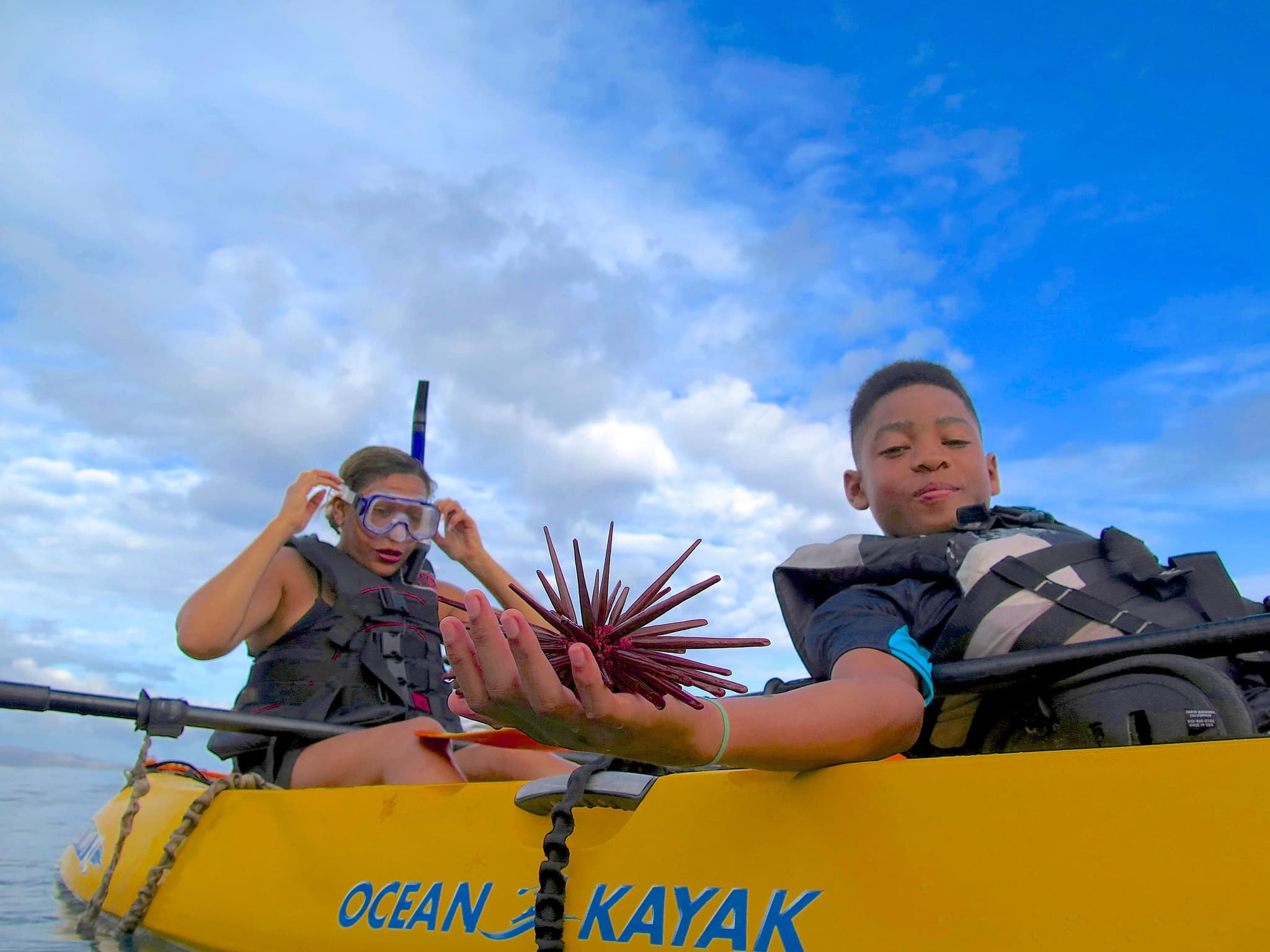 Kayak - The "Mellow" Cruise