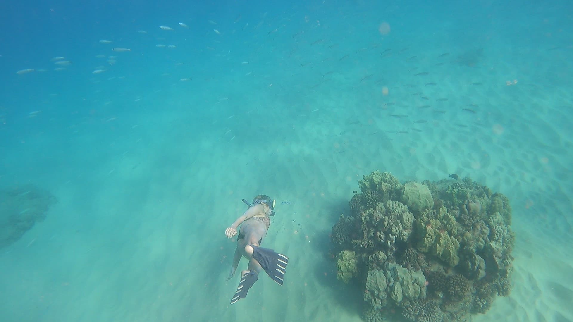Private Snorkel Tour from Shore