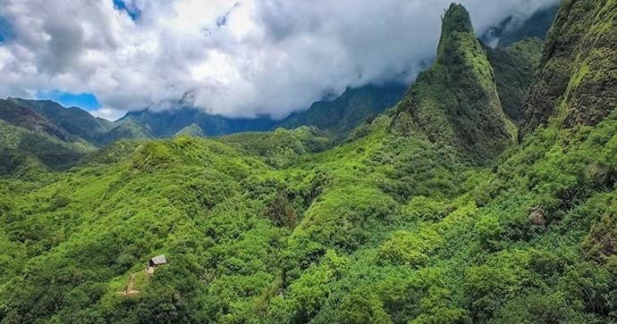 The Maui Island Tour, Private Charter