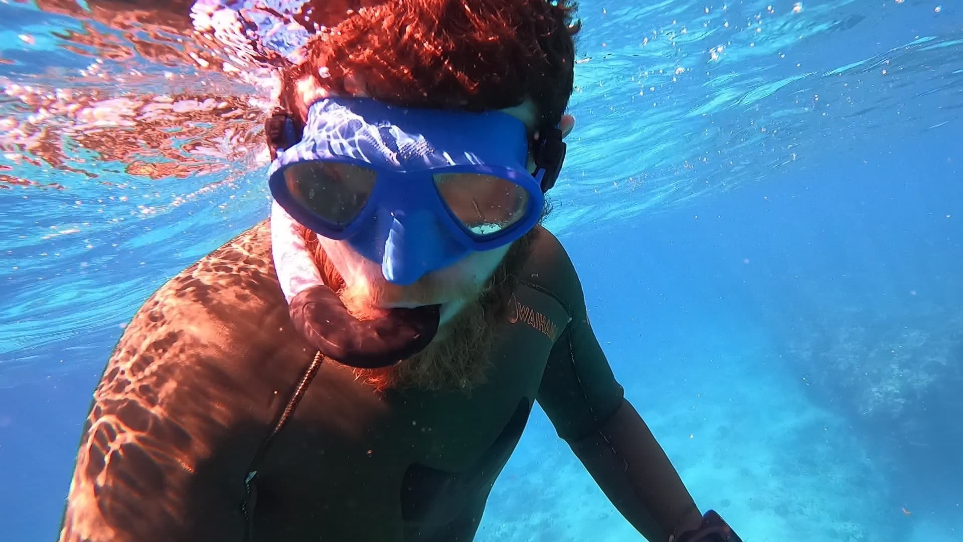 Private Snorkel Tour from Shore