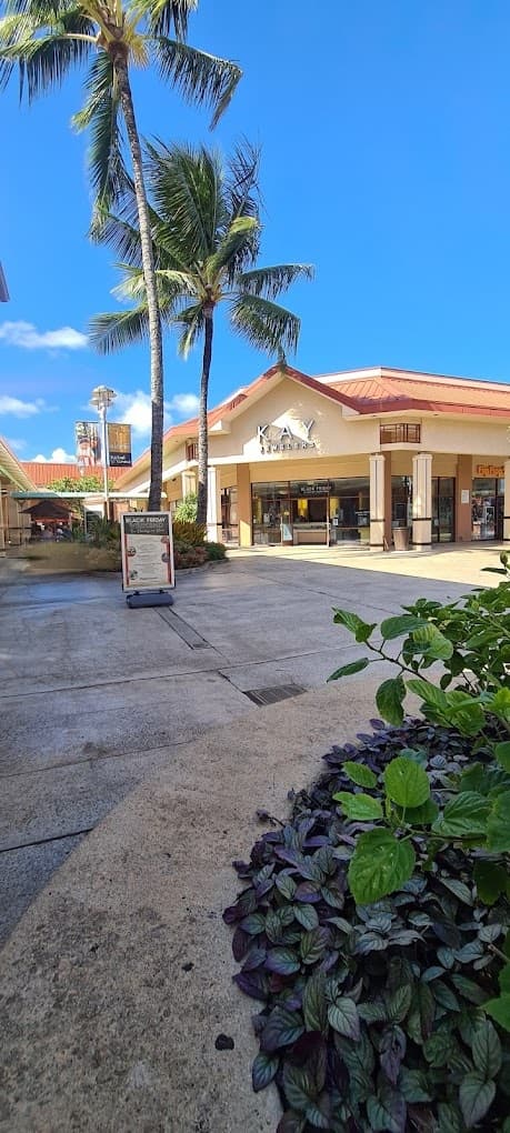 KAUAI - Hop-On Hop-Off Tour for Cruise Ship Guests