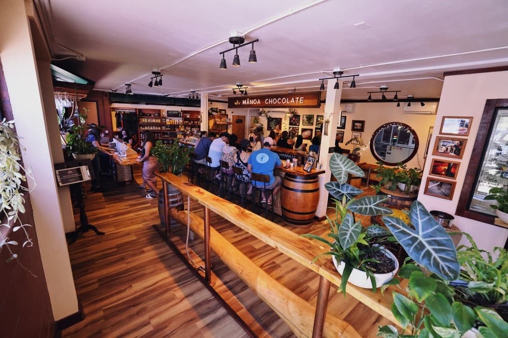 In-Depth Chocolate Education & Tasting Experience