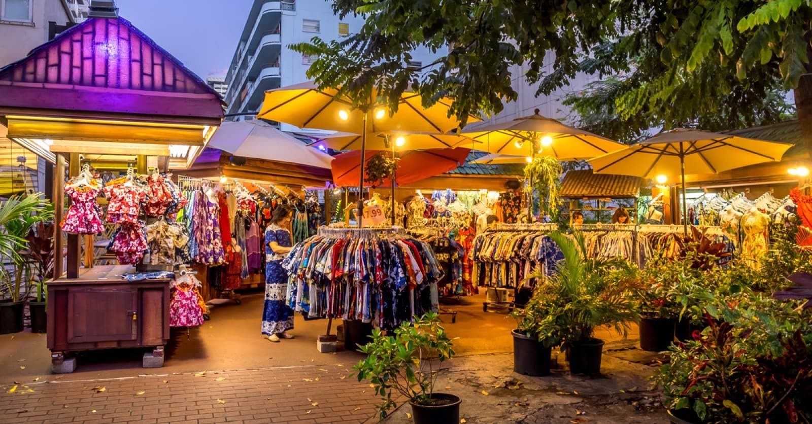 Sights and Shopping Tour - Navigation Guided