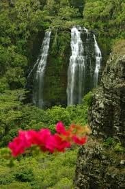 Kauai Scenic Tour -Opaeka'a Falls, Spouting Horn,  Poipu Beach