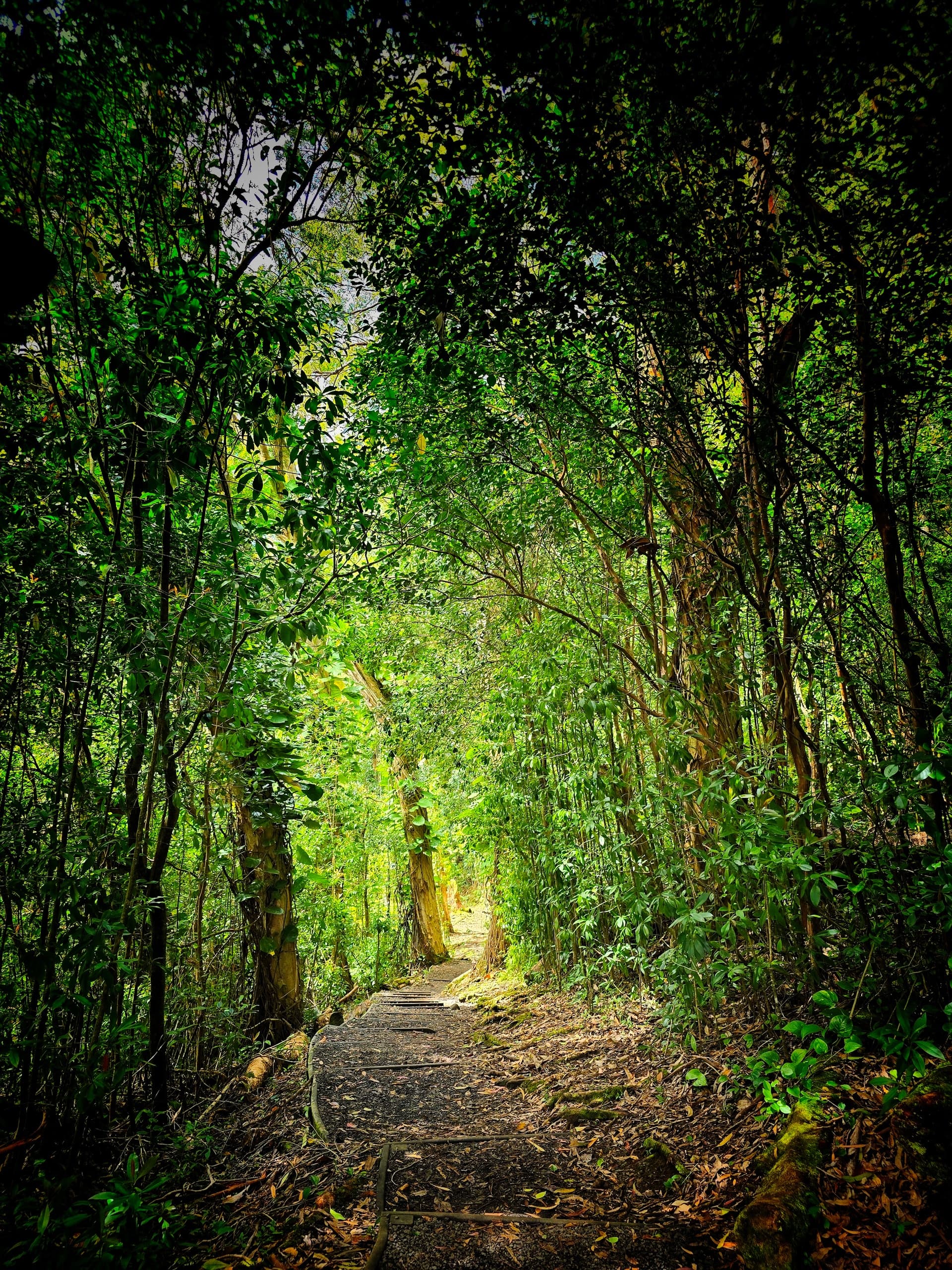 East Maui Hiking Experience