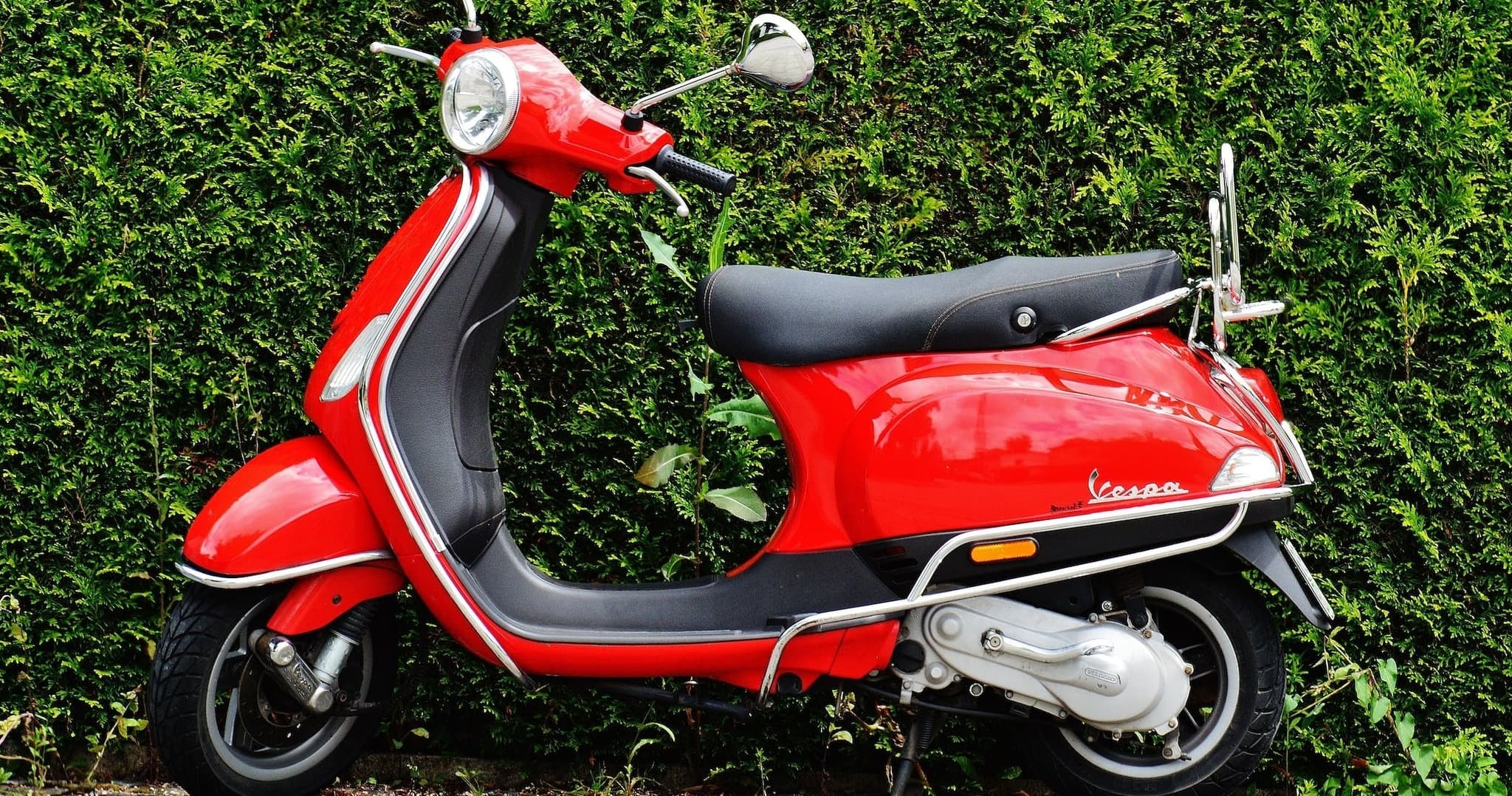 50cc Moped Rental