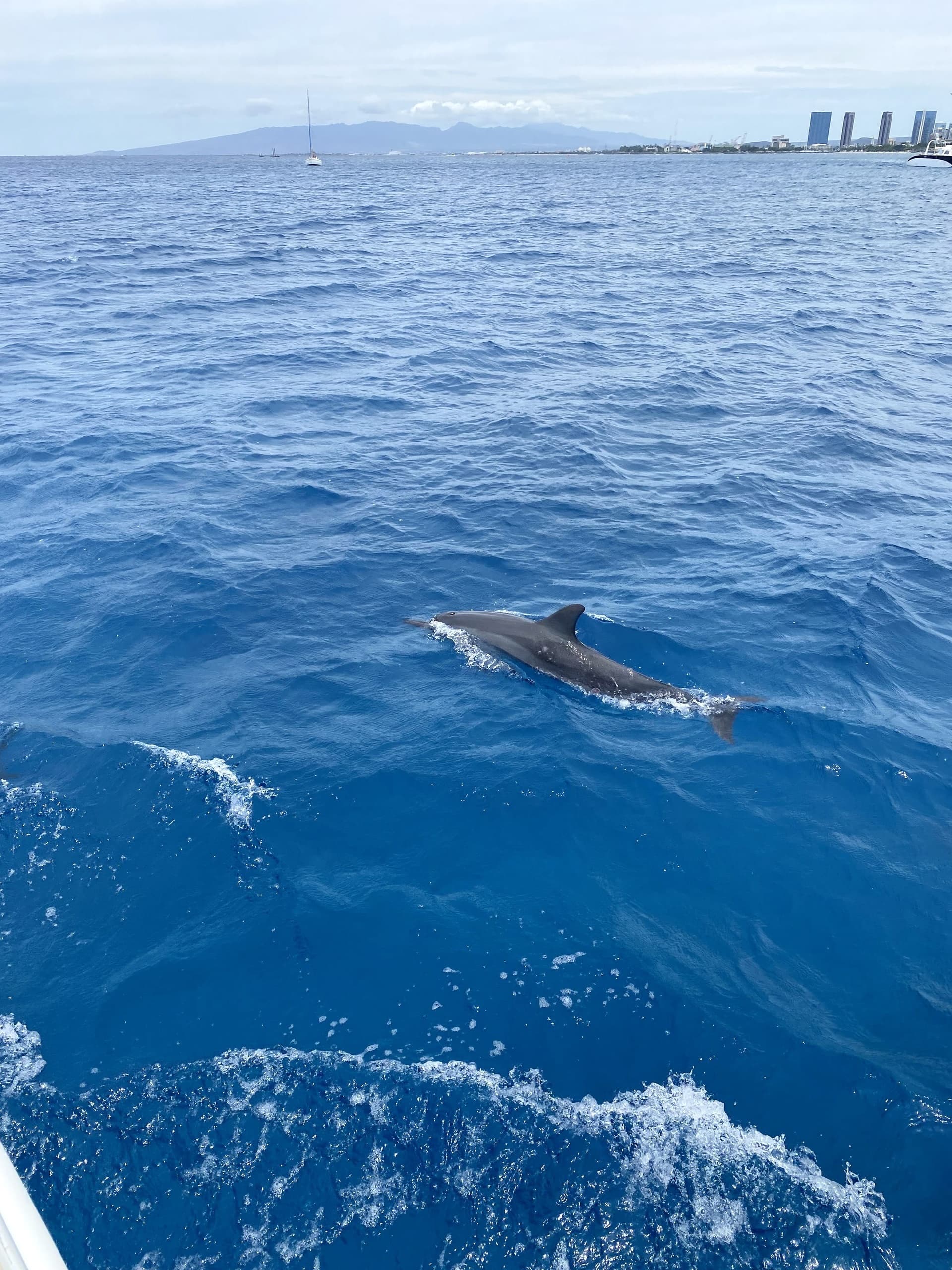 Private Sail and Snorkeling Tour