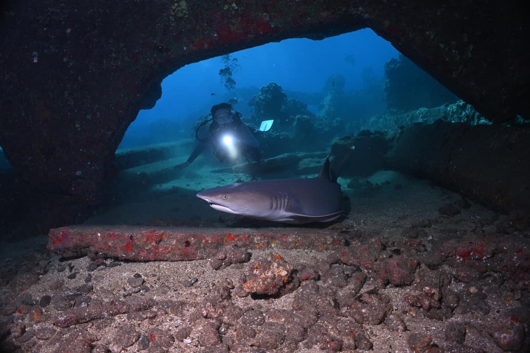 3 Divers for 3 Days - Private PADI Certification with Barry