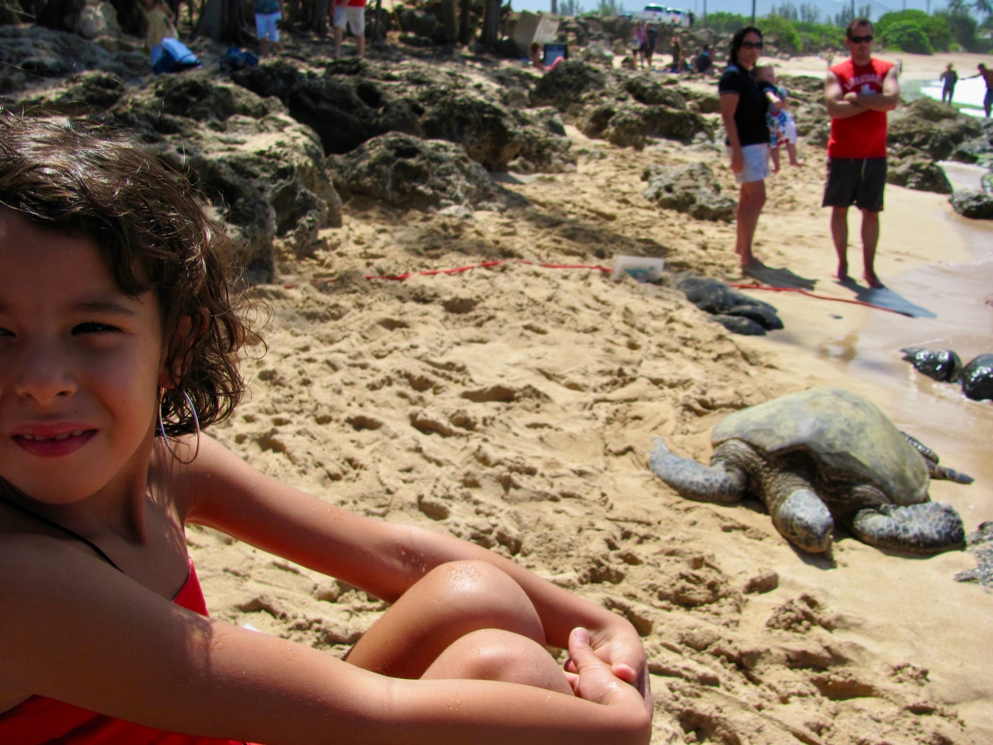 Private Bus Tour up to 25 pax