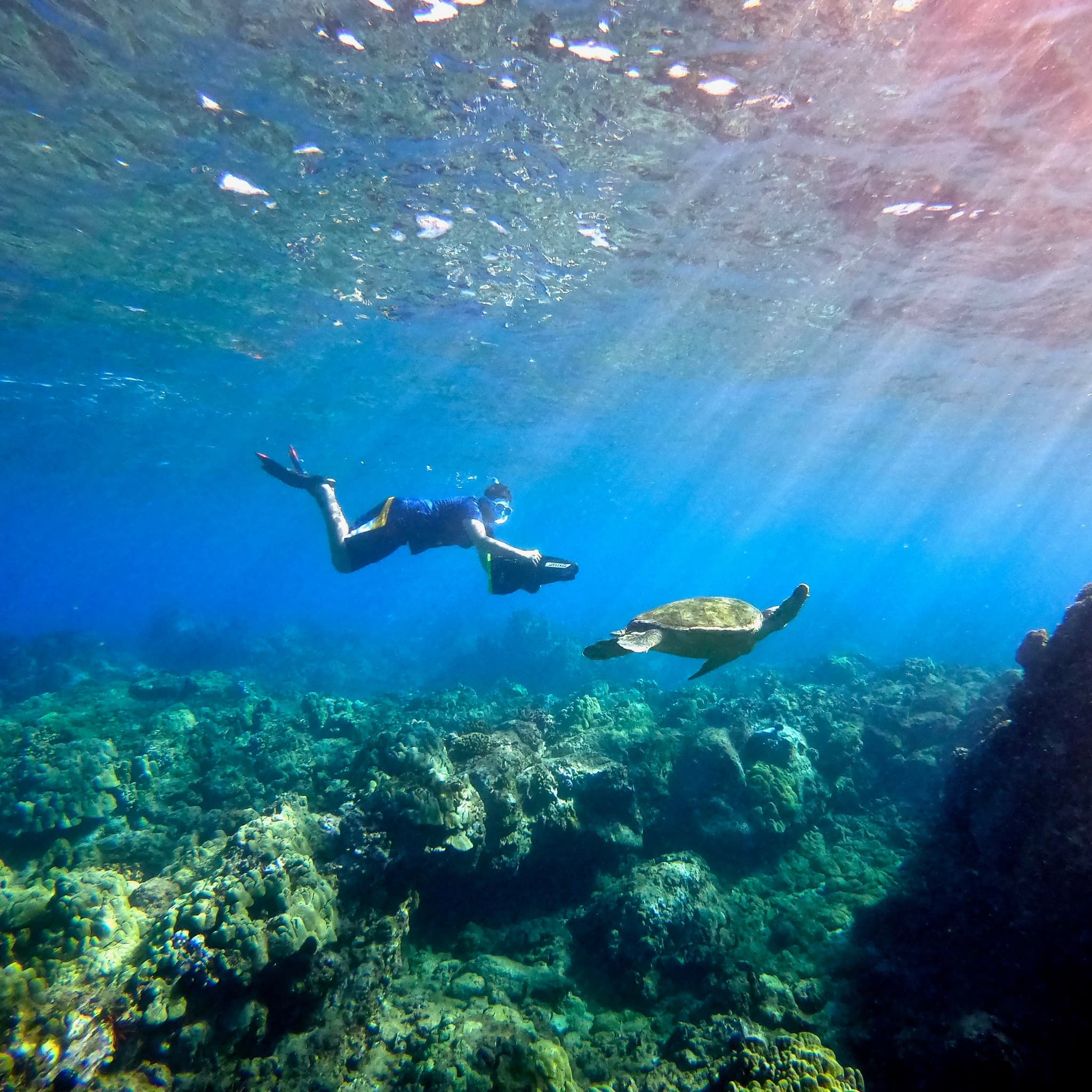 Lahaina - Sea Scooter Snorkeling Guided Tour