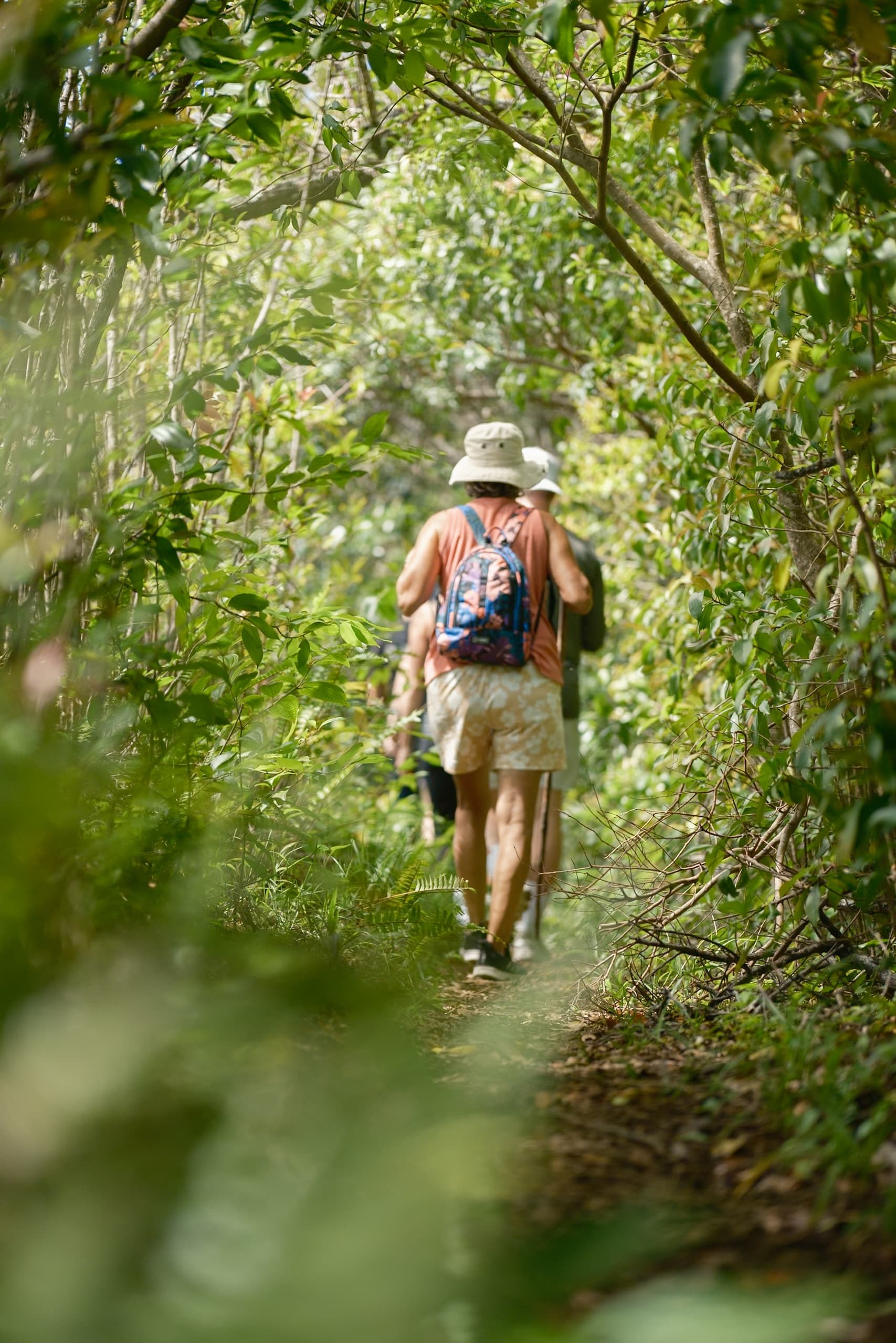 Honolua Ridgeline Hike: A Conservation Experience