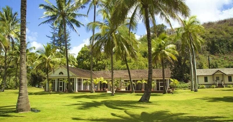 Allerton Garden at Sunset