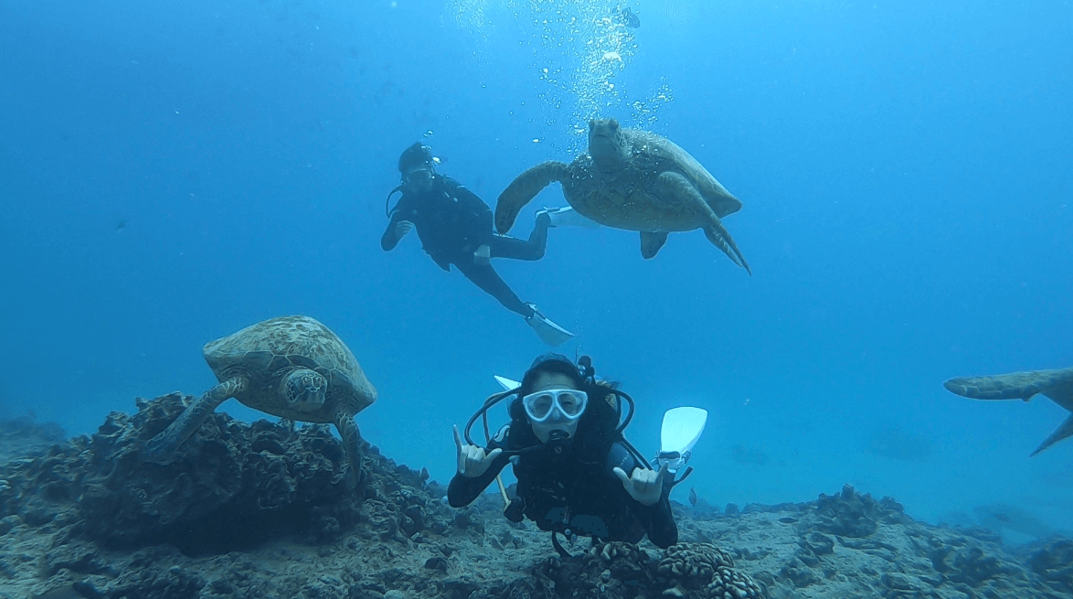 ボート体験ダイビング